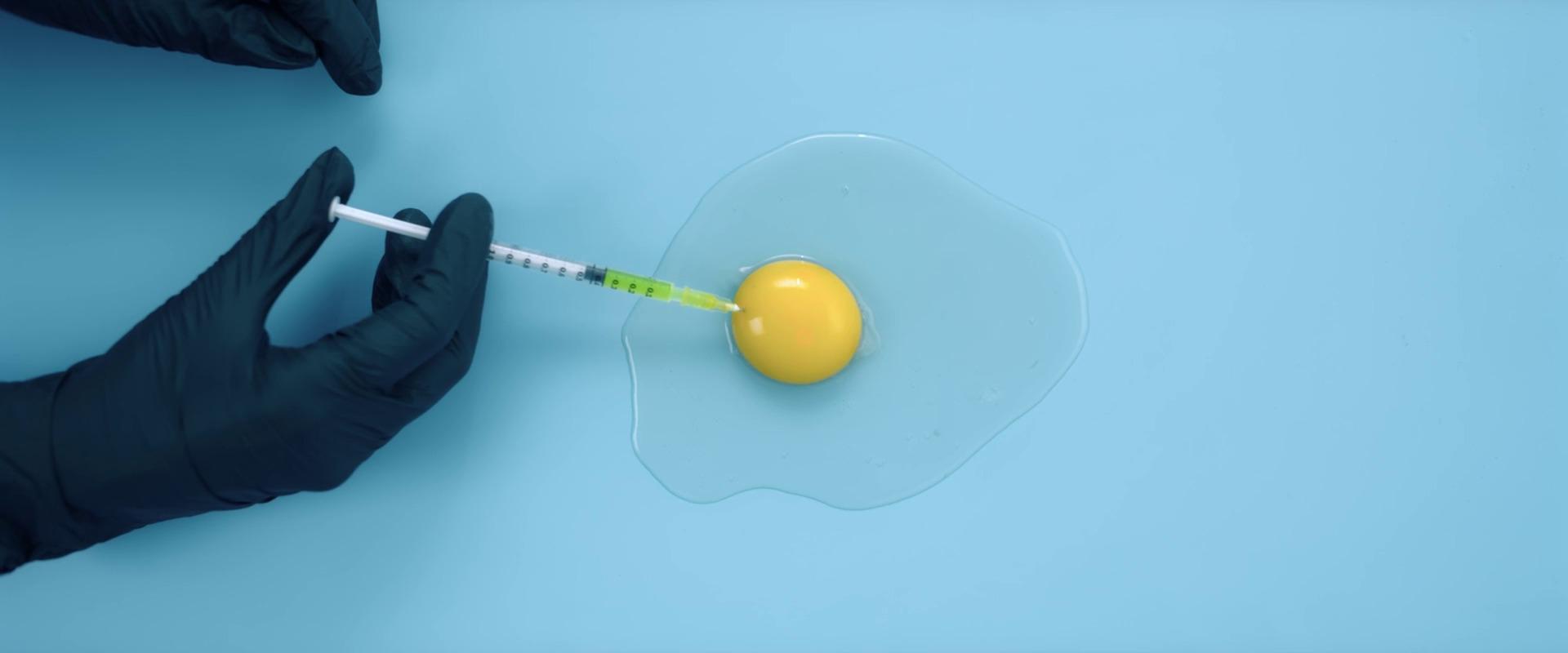 Egg